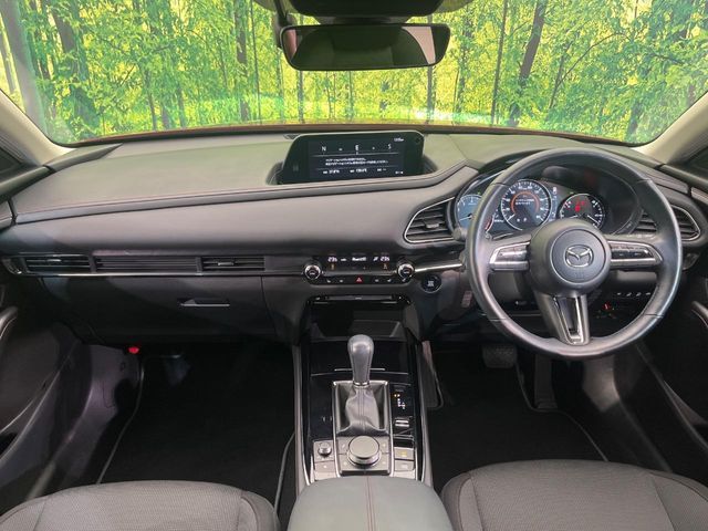 CX-30