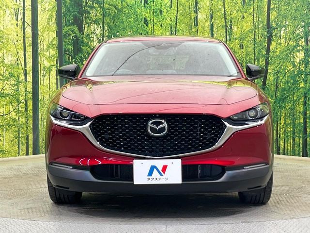 CX-30