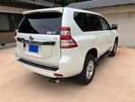 LANDCRUISER PRADO