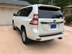 LANDCRUISER PRADO