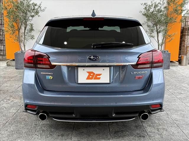 LEVORG