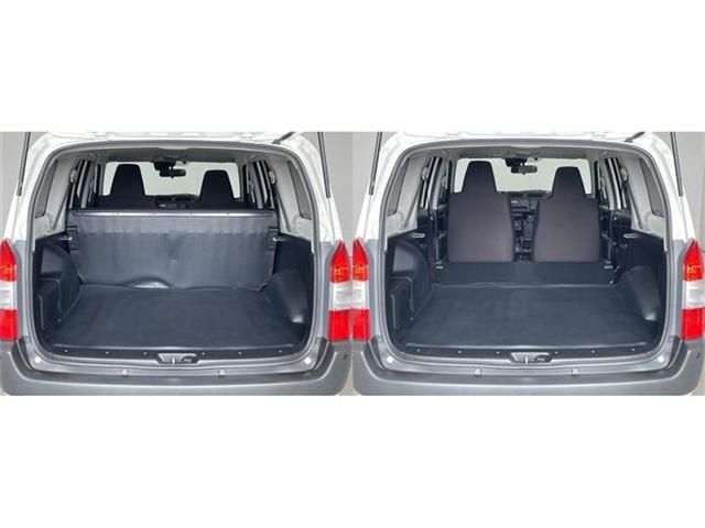 PROBOX van HYBRID