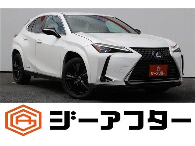 LEXUS UX250h