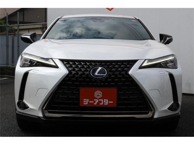 LEXUS UX250h
