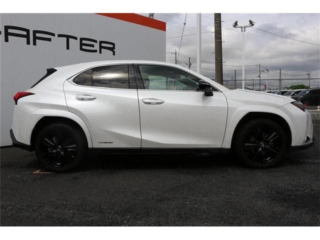 LEXUS UX250h