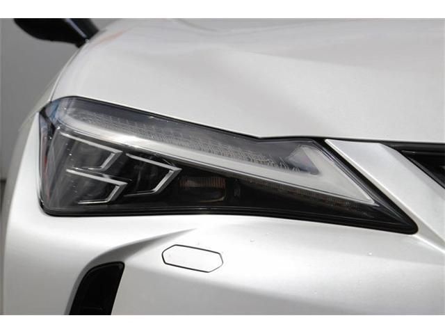 LEXUS UX250h