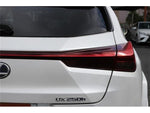LEXUS UX250h