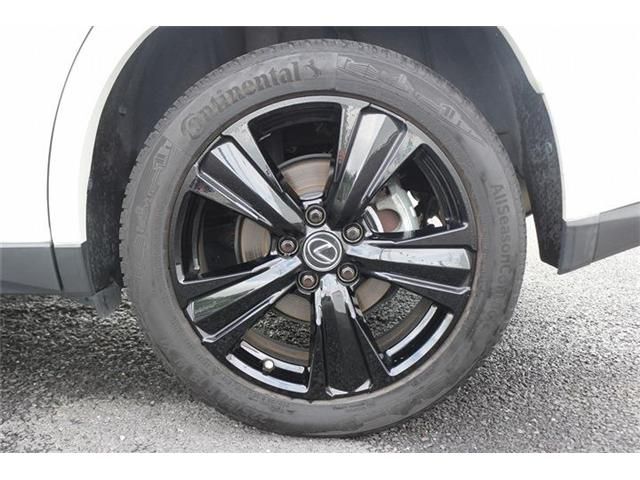 LEXUS UX250h