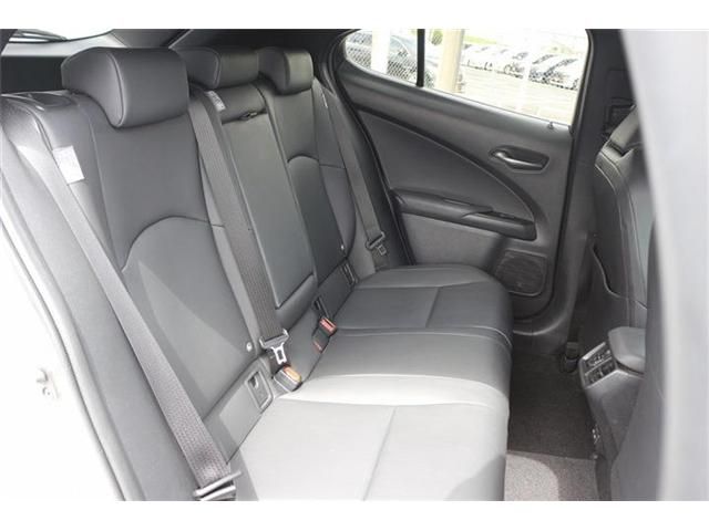 LEXUS UX250h