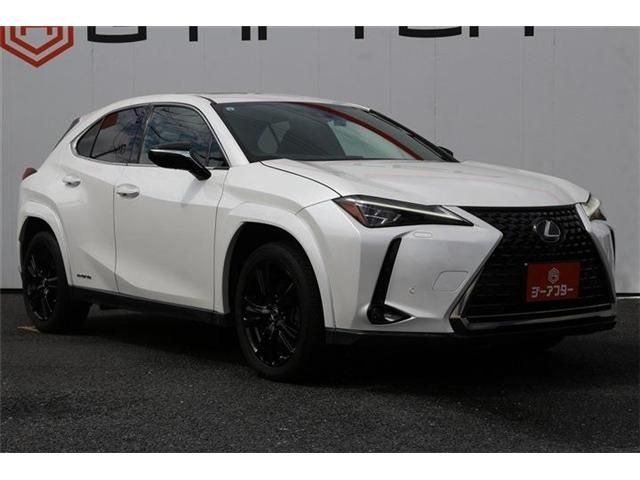 LEXUS UX250h