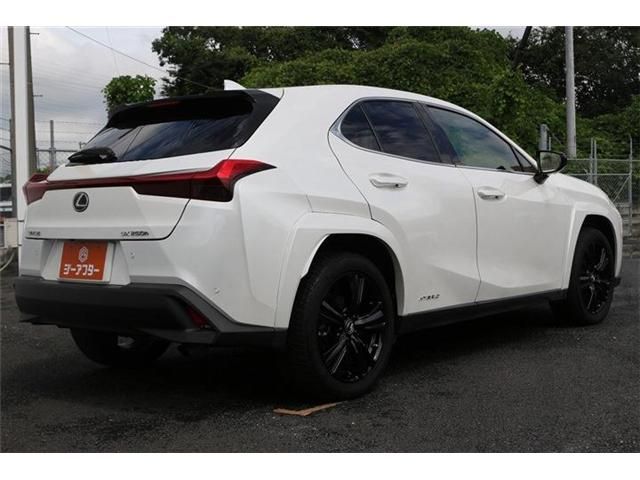 LEXUS UX250h
