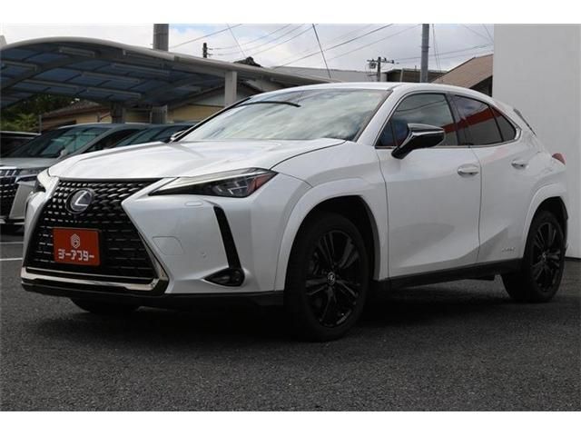 LEXUS UX250h