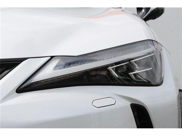 LEXUS UX250h