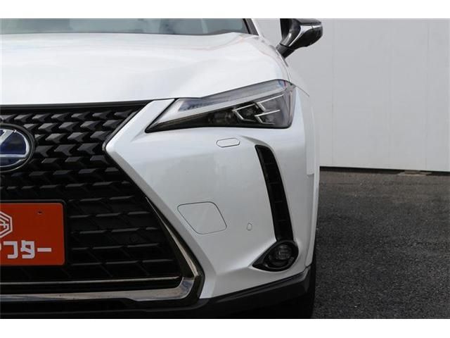 LEXUS UX250h