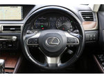 LEXUS GS300h