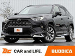 RAV4 4WD