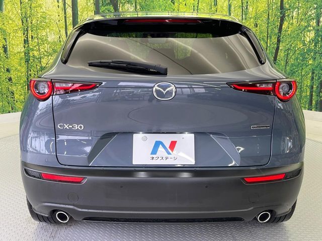 CX-30