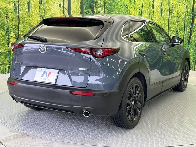 CX-30