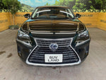 LEXUS NX300h
