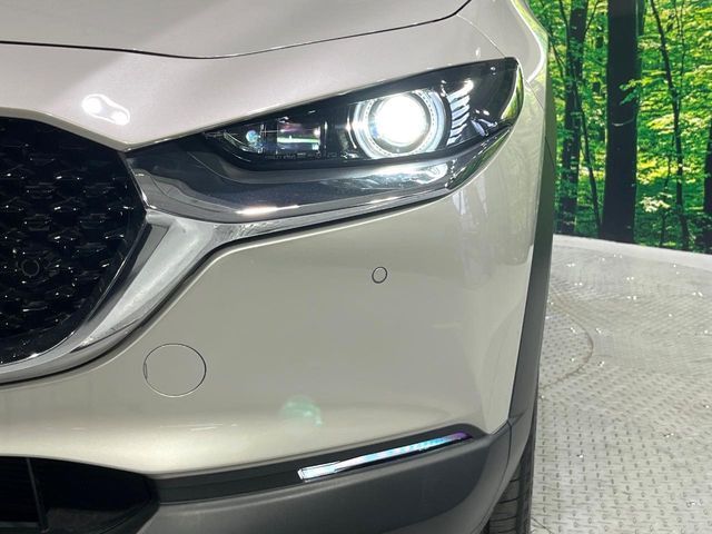 CX-30