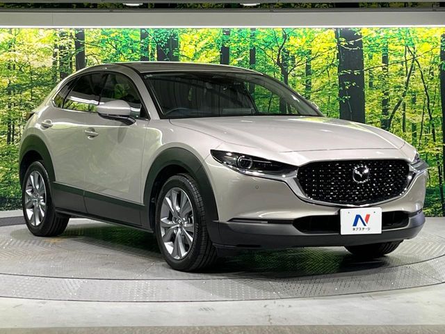 CX-30