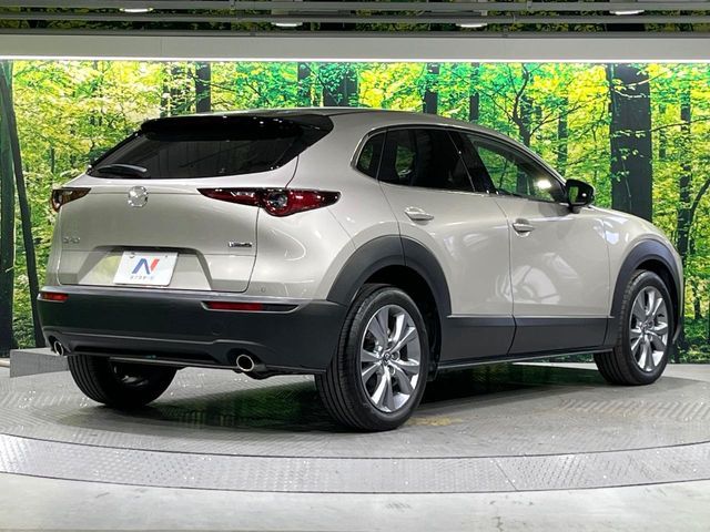 CX-30