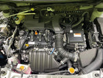 RAIZE HYBRID