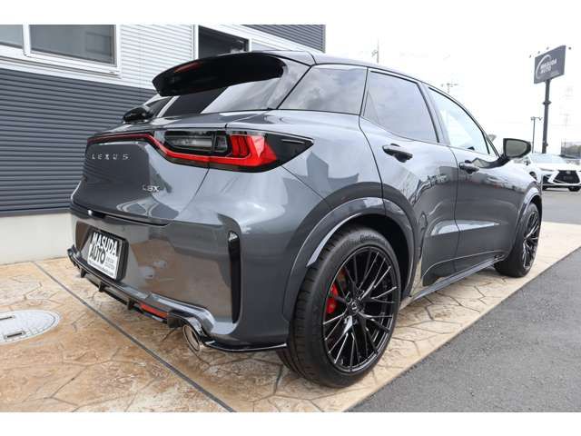 LEXUS LBX
