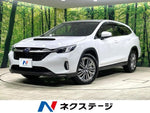 LEVORG LAYBACK