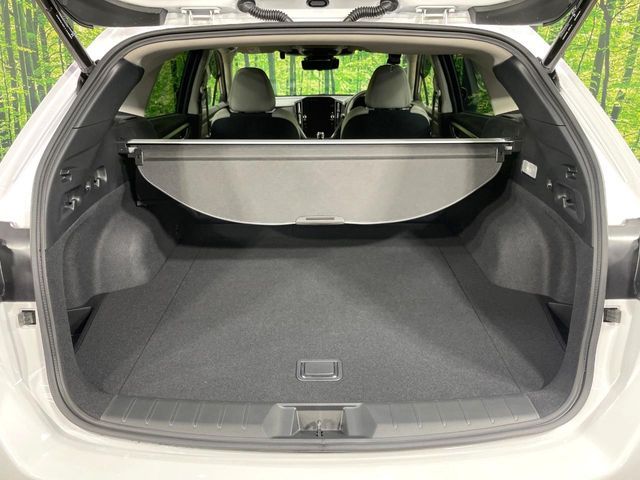 LEVORG LAYBACK