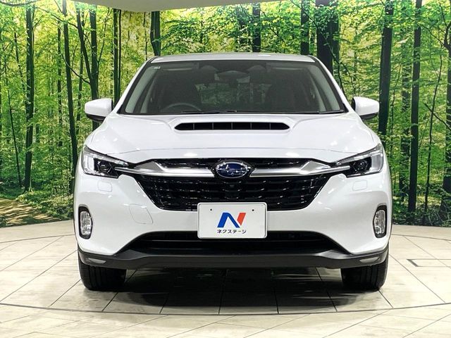 LEVORG LAYBACK