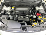 LEVORG LAYBACK