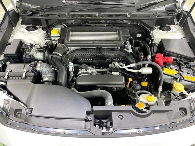 LEVORG LAYBACK