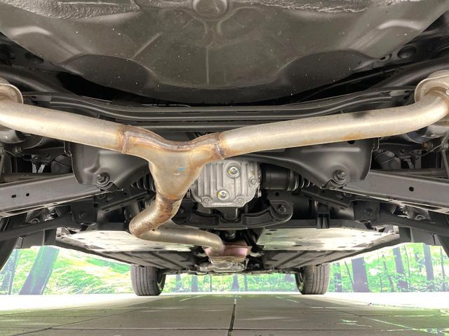 LEVORG LAYBACK