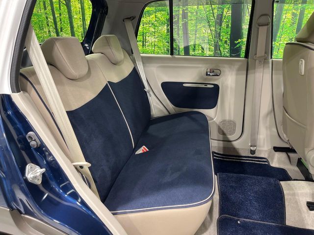 ALTO LAPIN