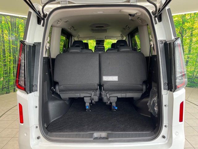 SERENA  WG