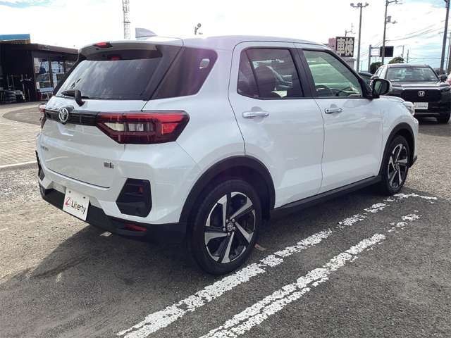 RAIZE HYBRID