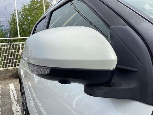 RAIZE HYBRID