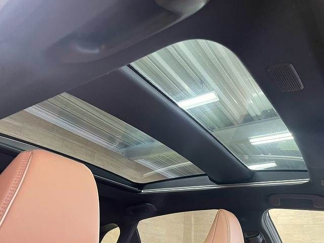 CROWN SPORT