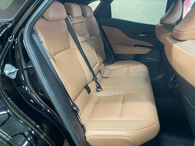 CROWN SPORT