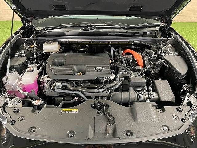 CROWN SPORT