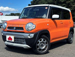 HUSTLER 4WD