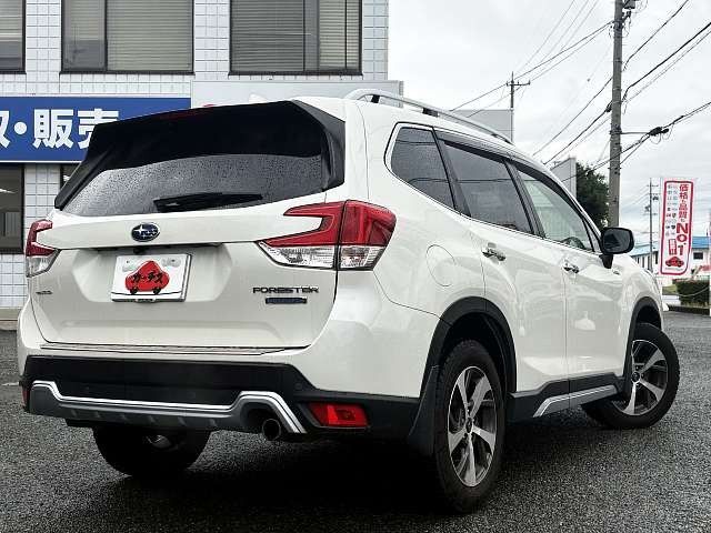 FORESTER