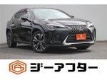 LEXUS UX300h