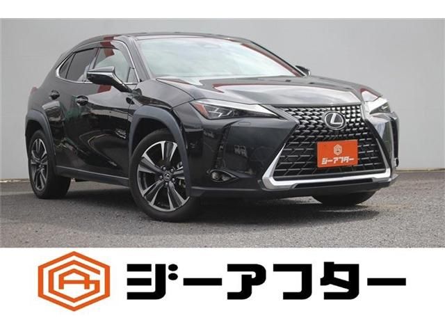 LEXUS UX300h