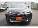 LEXUS UX300h