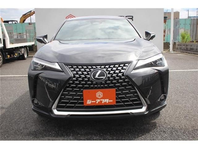 LEXUS UX300h
