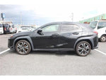 LEXUS UX300h