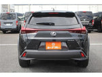 LEXUS UX300h