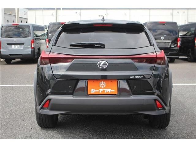 LEXUS UX300h